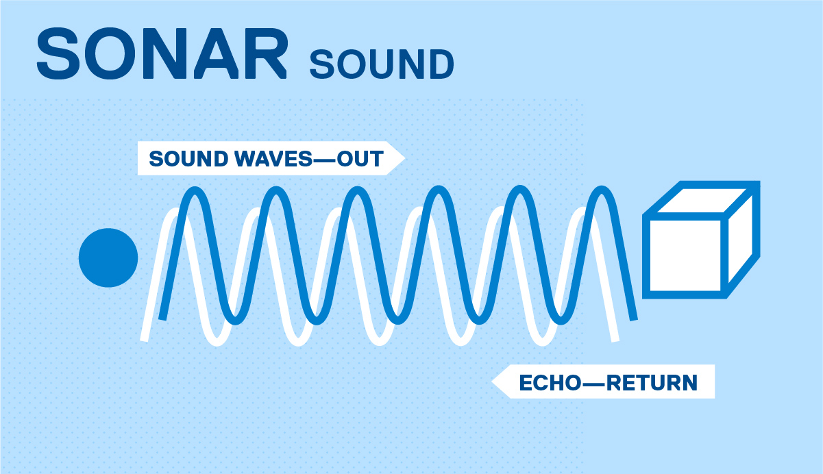 sewer sonar